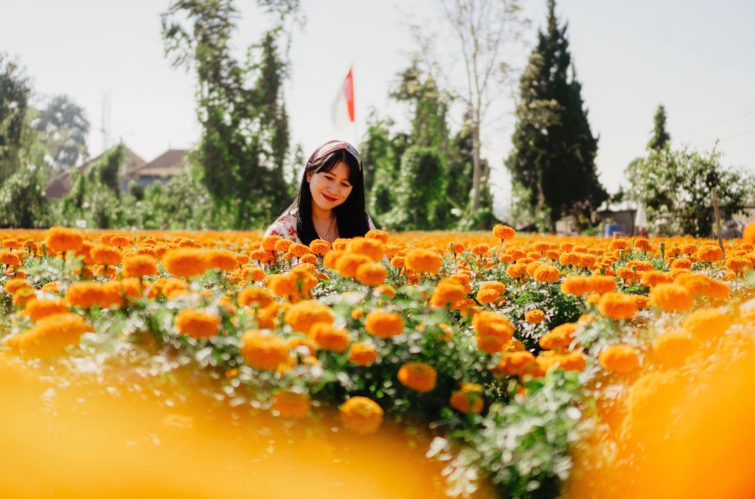 Temukus village Taman Bunga Gumitir - insight bali